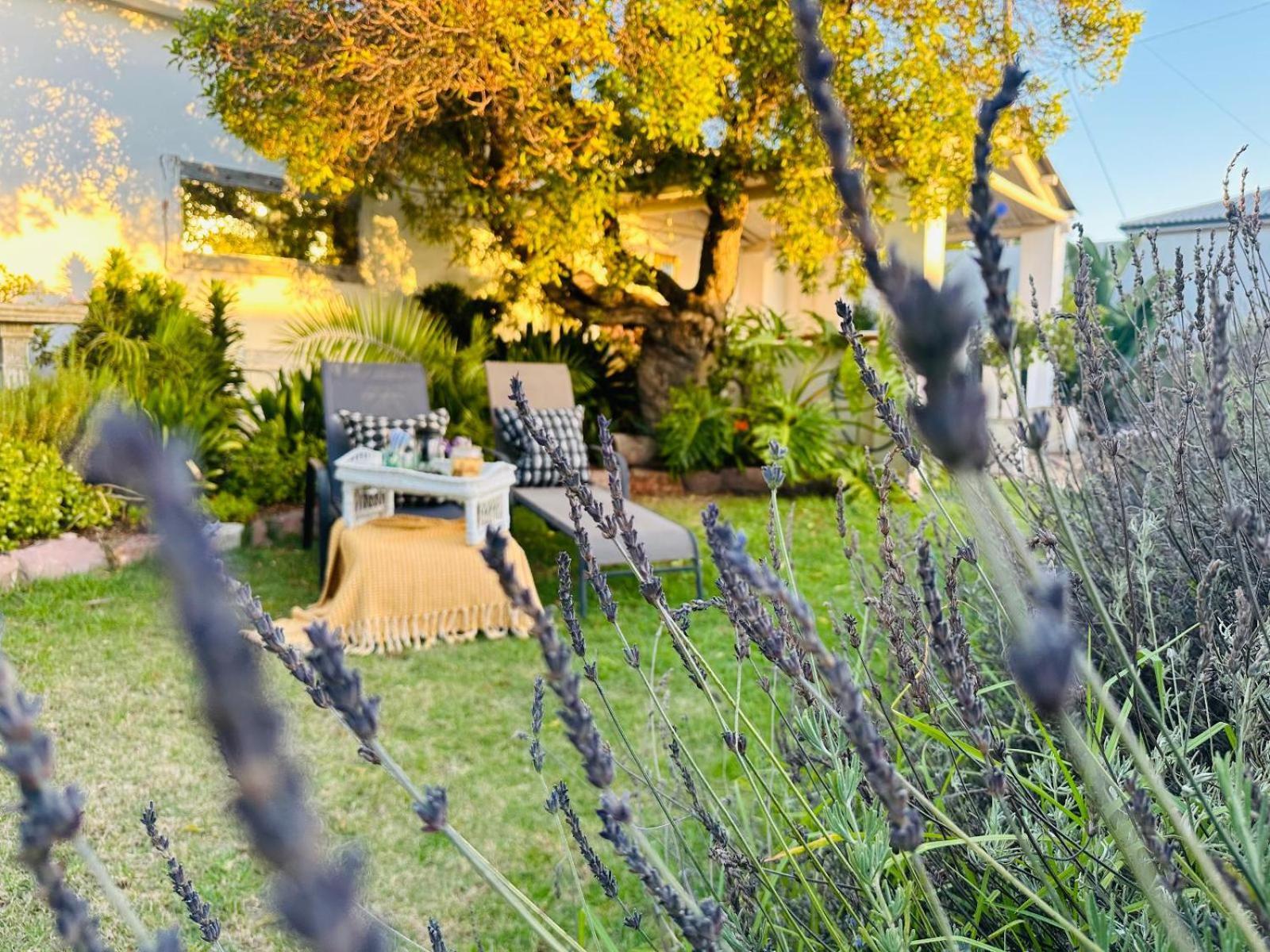 Villa Da Graca - Homecooked Meals On Arrangement Mossel Bay Exterior photo